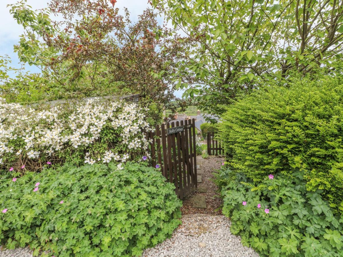 Holly Cottage マトロック エクステリア 写真